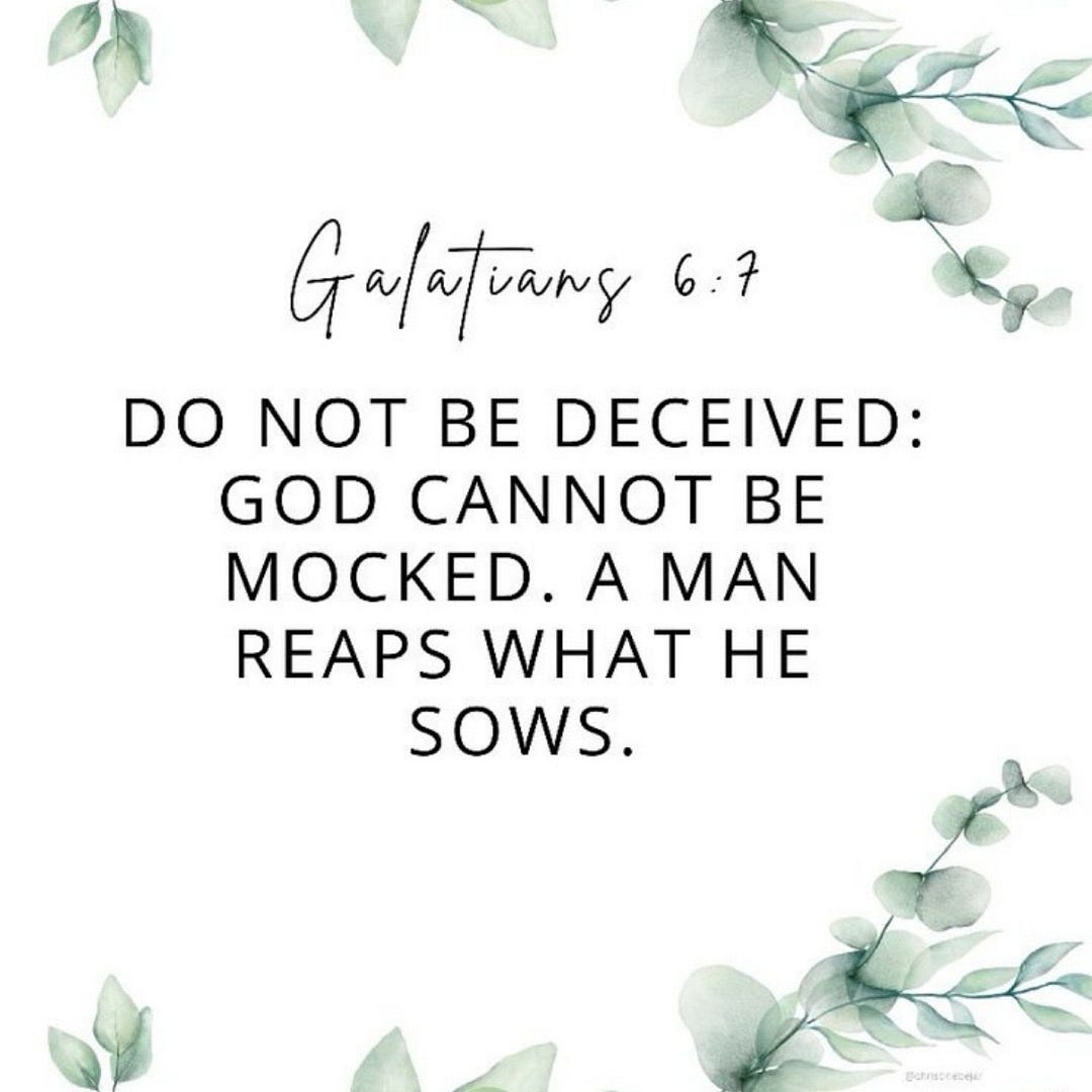 LIFE IS A SEED: WHAT WE SOW, WE WILL REAP