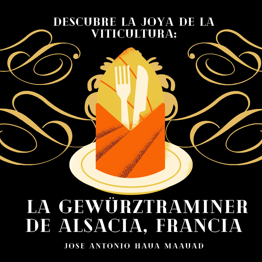 Jose Antonio Haua Maauad- Descubre la joya de la viticultura: la Gewürztraminer de Alsacia, Francia