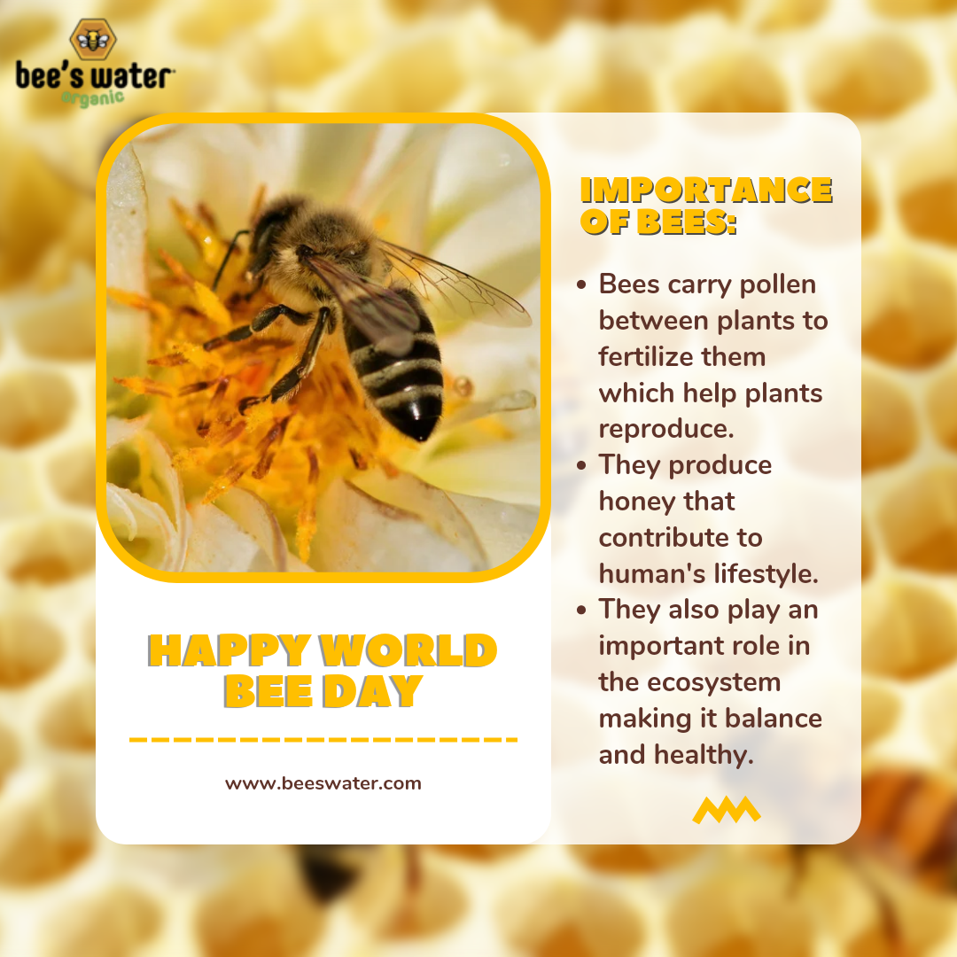 Why We Should Save Bees Importance of Bees to our by Bee's