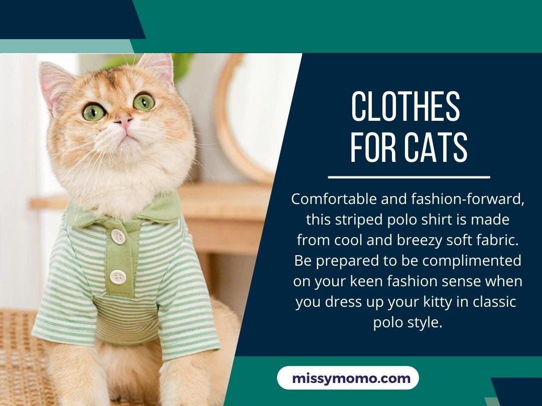 Clothes for Cats - MissyMoMo - Medium