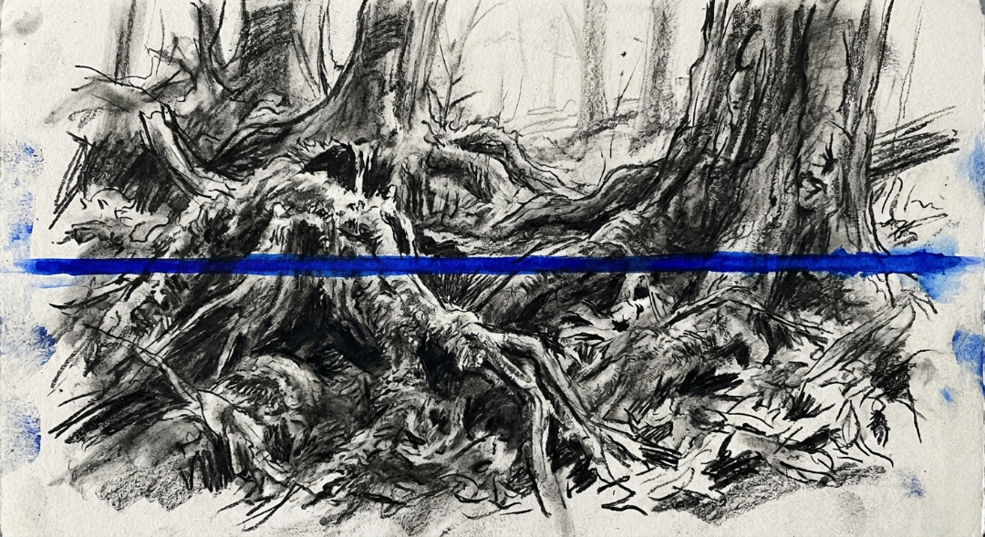 “The geometry of greed: A border drawn where nature knew no bounds.” Art Sketch by Misselbereth