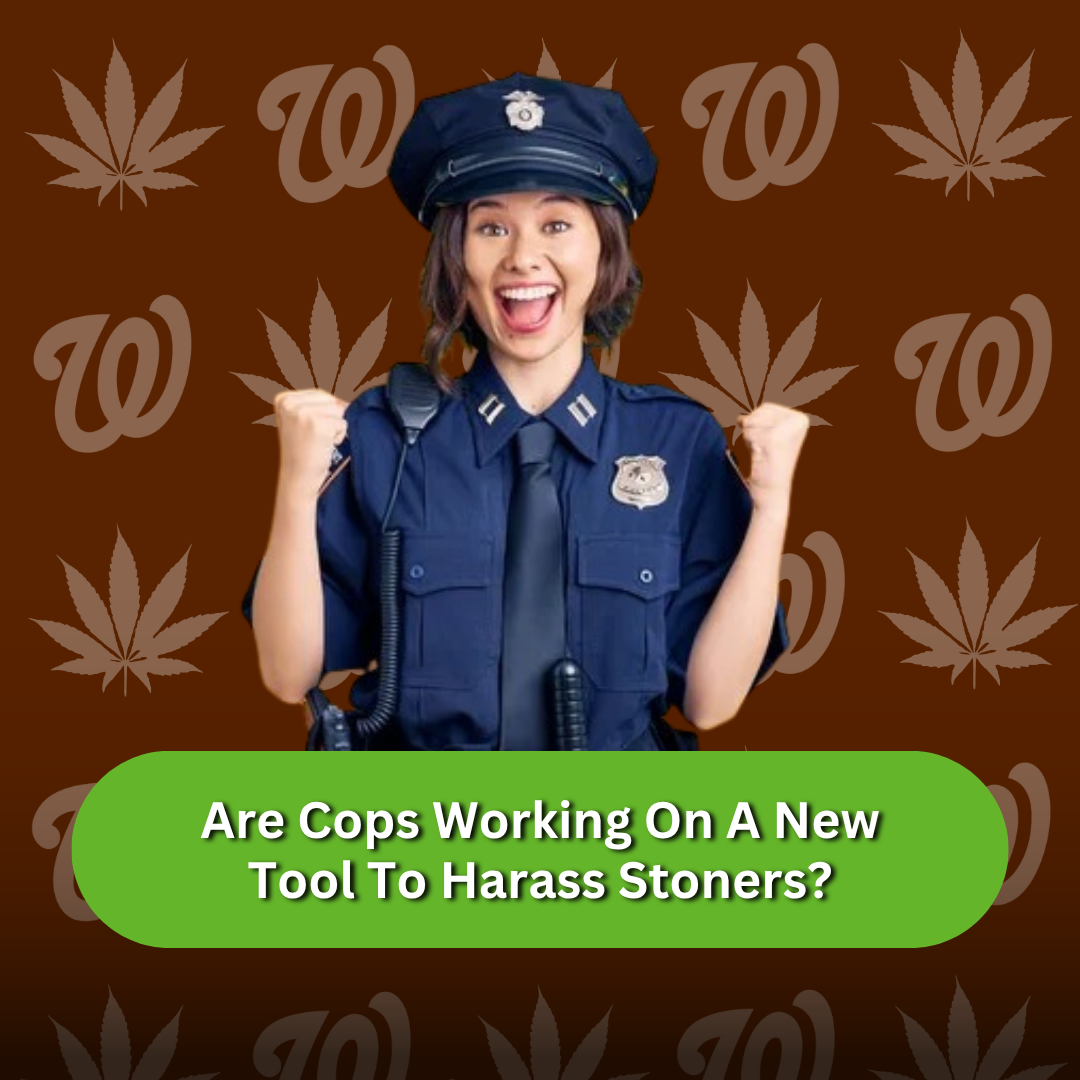 The Terrible Idea For a Cannabis Breathalyzer