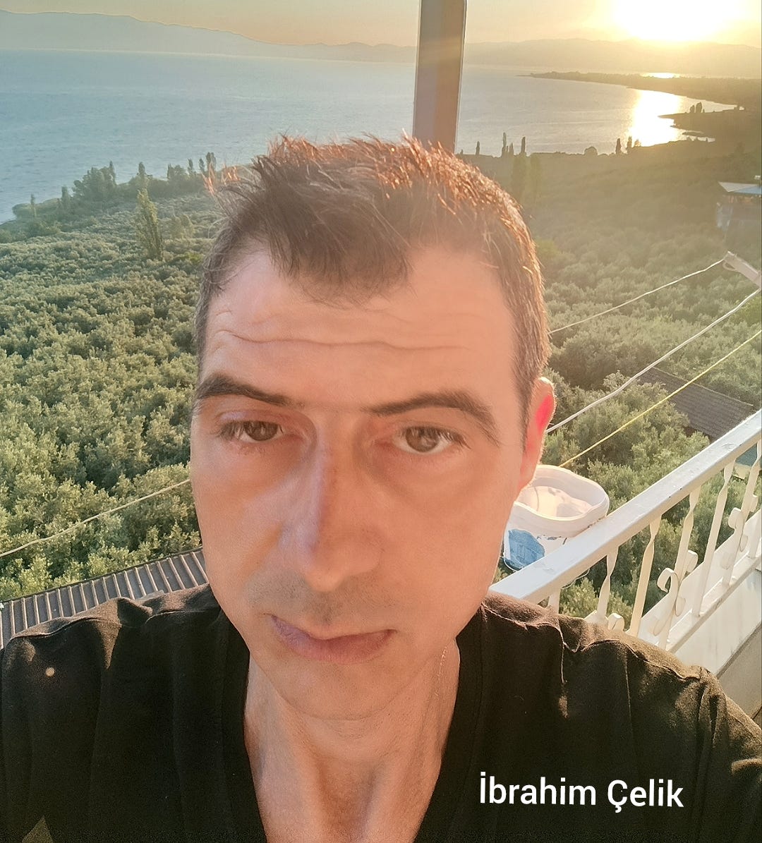 İbrahim Çelik Narlıca kimdir hayatı biyografisi eserleri yaşamı kariyeri kendisi dünyada zeytinin…