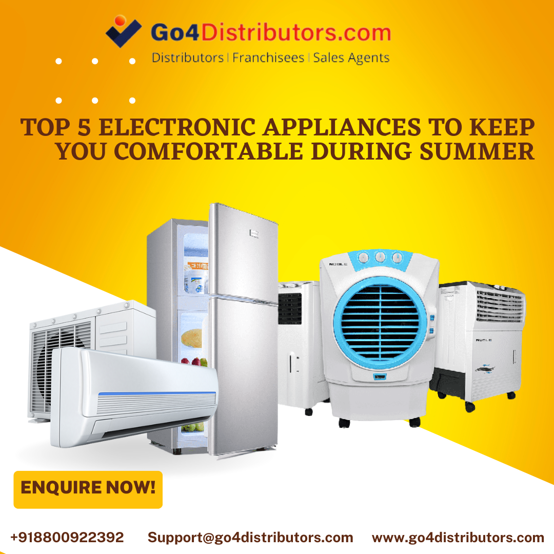 From Startup to Success A Roadmap for Profitable Consumer Electronics