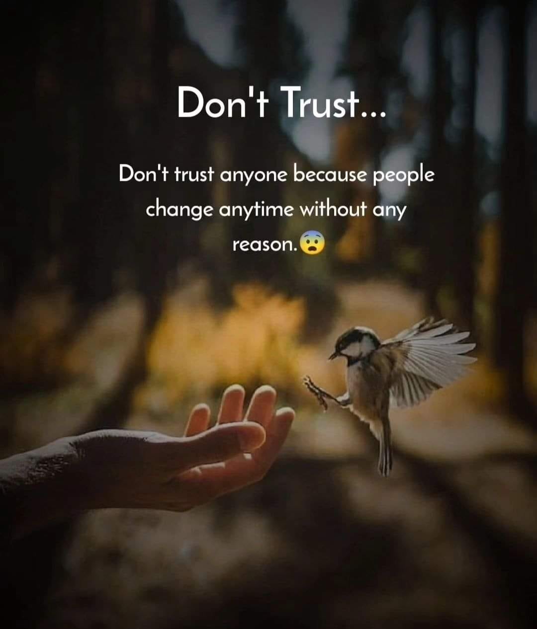 Don’t Trust Anyone The Vulnerability of Relationships and Human