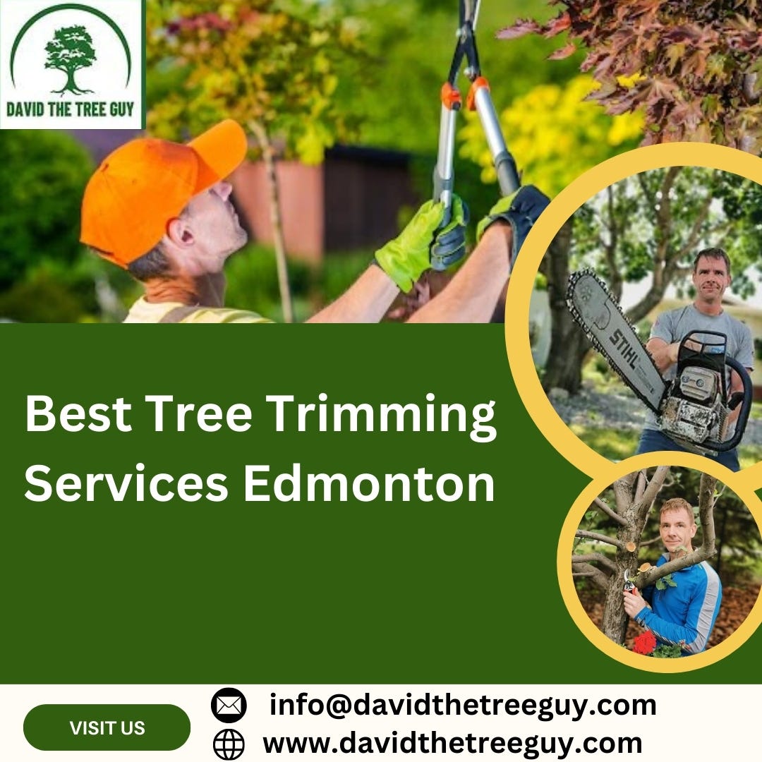 Best Tree Trimming Services Edmonton David The Tree Guy Medium