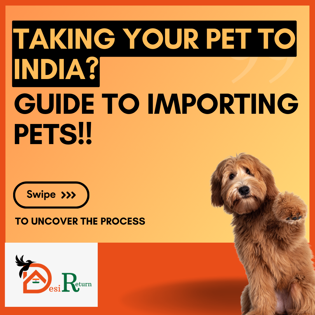 Does anyone have experience bringing their pet to India from Abroad? A