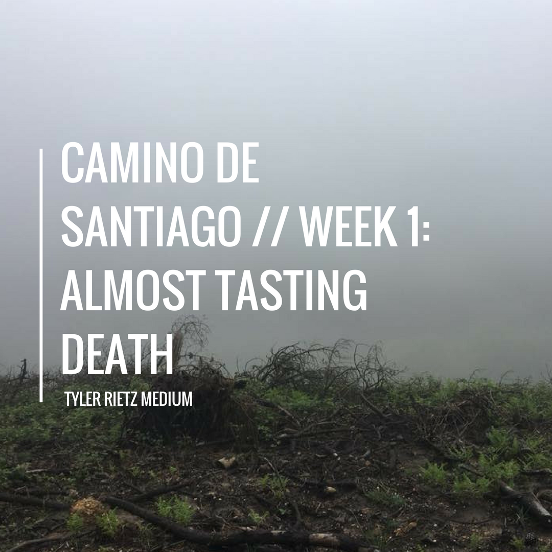 Camino de Santiago // Week 1: Almost Tasting Death | by Tyler Rietz | Medium