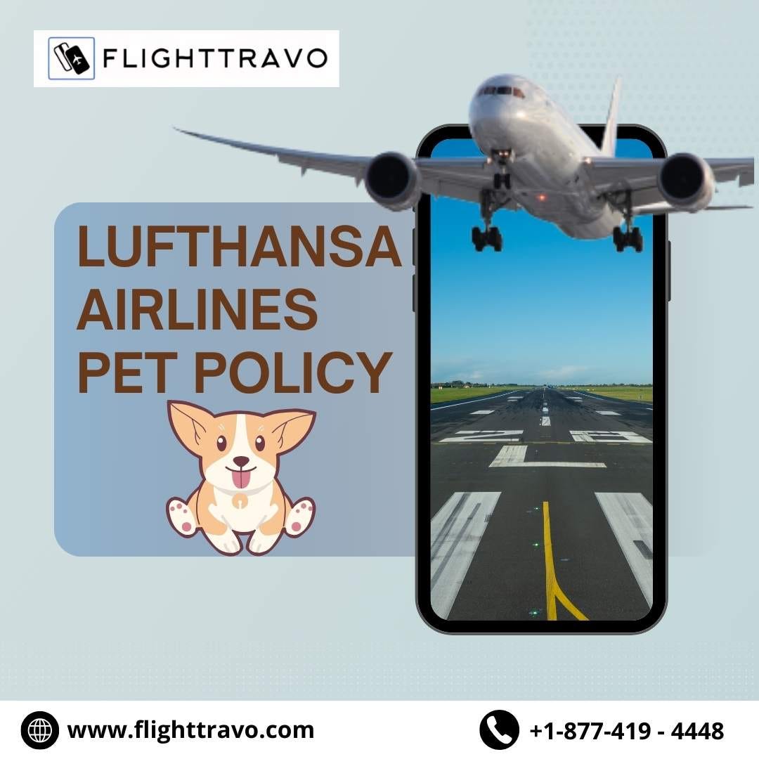 Lufthansa Airlines Pet Policy A Complete Guide for Pets on the Airline
