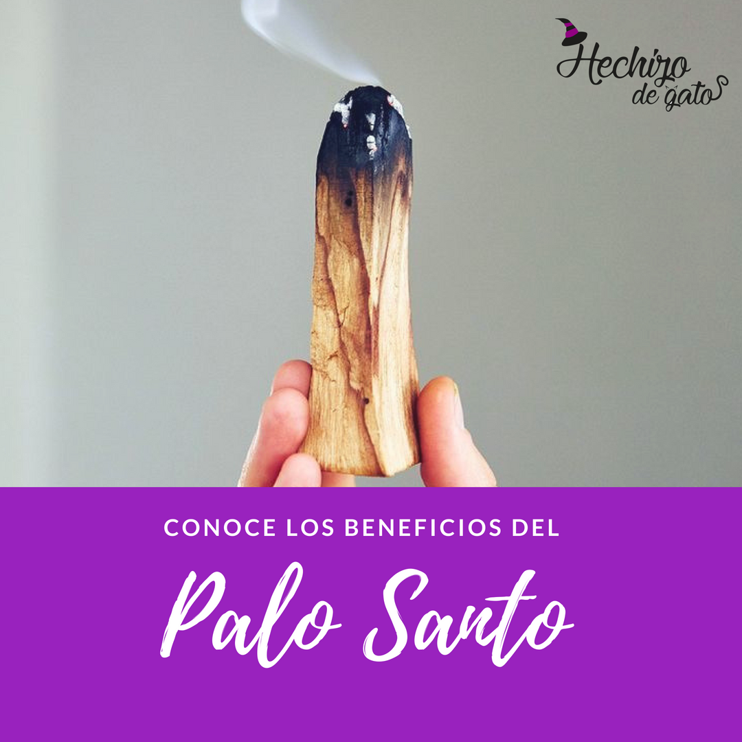 Beneficios del Palo Santo. El Palo Santo nos ofrece una amplia… by Hechizo de Gato Medium