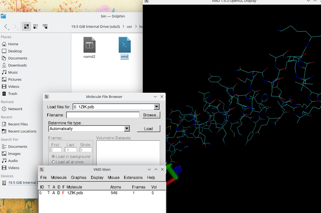 Biomolecular Dynamics (Molecular Modeling System) by Muhammad Faisal