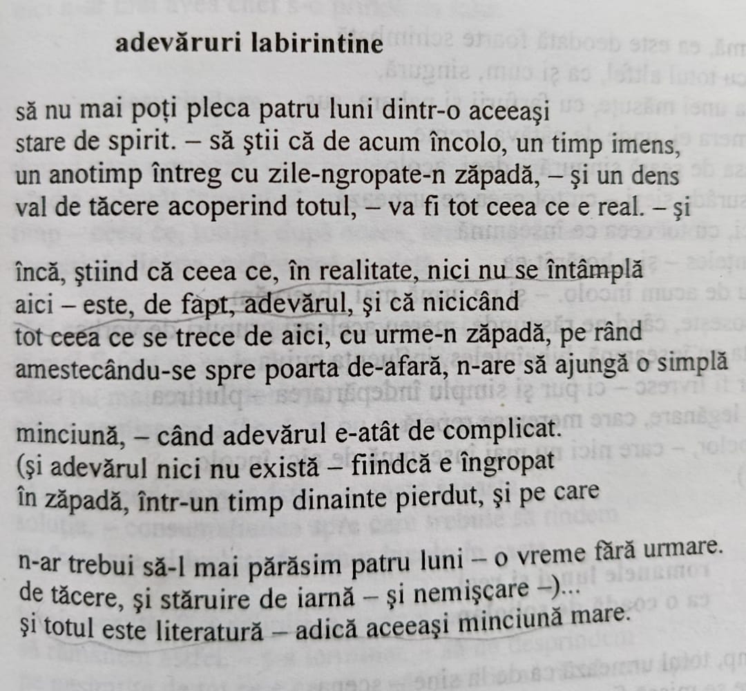 verités labirinthines (adevăruri labirintine de Mircea Ivănescu)