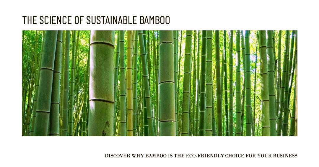 The Science Behind Bamboo Why It’s a Sustainable Choice by ECOBOO