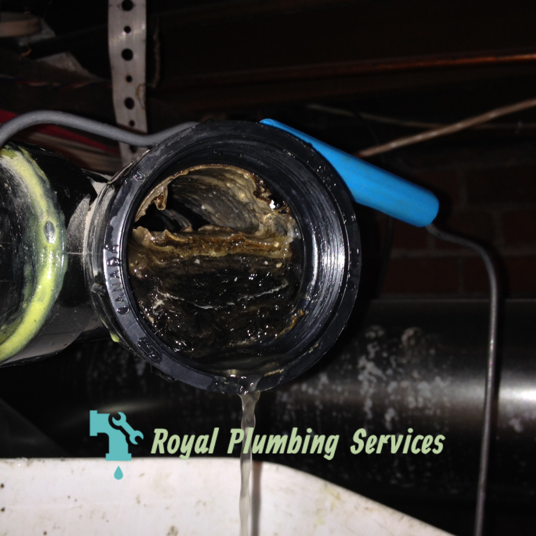How to Clear a Clogged Kitchen Drain by Royal Plumbing Services Medium