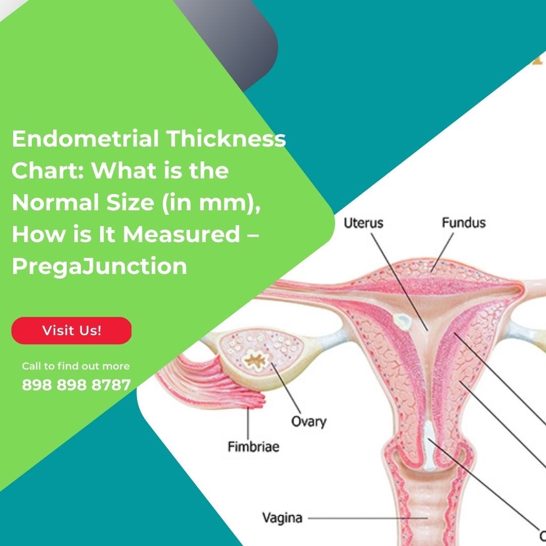 Endometrial Thickness Chart What Is The Normal Size in Mm How Is It 