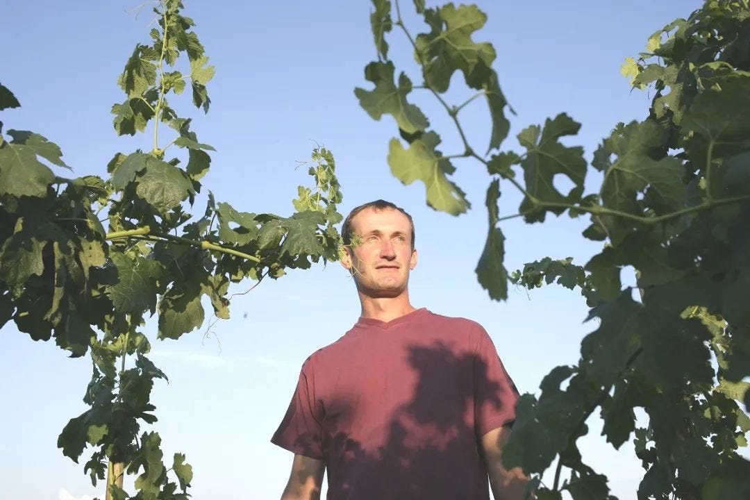 The Next “King of Cornas”