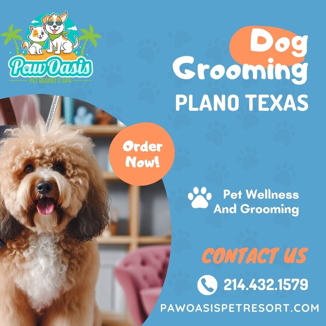 expert-dog-grooming-in-plano-texas-playful-daycare-at-paw-oasis-by