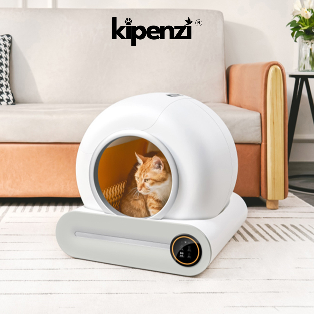 How to Introduce a Smart Cat Litter Box to Your Cats A StepbyStep