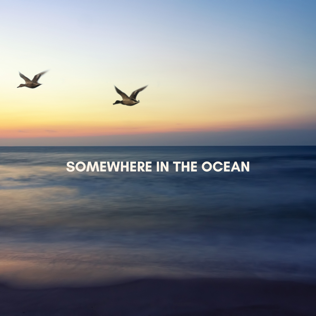Somewhere in the Ocean We are weightless, floating between sky