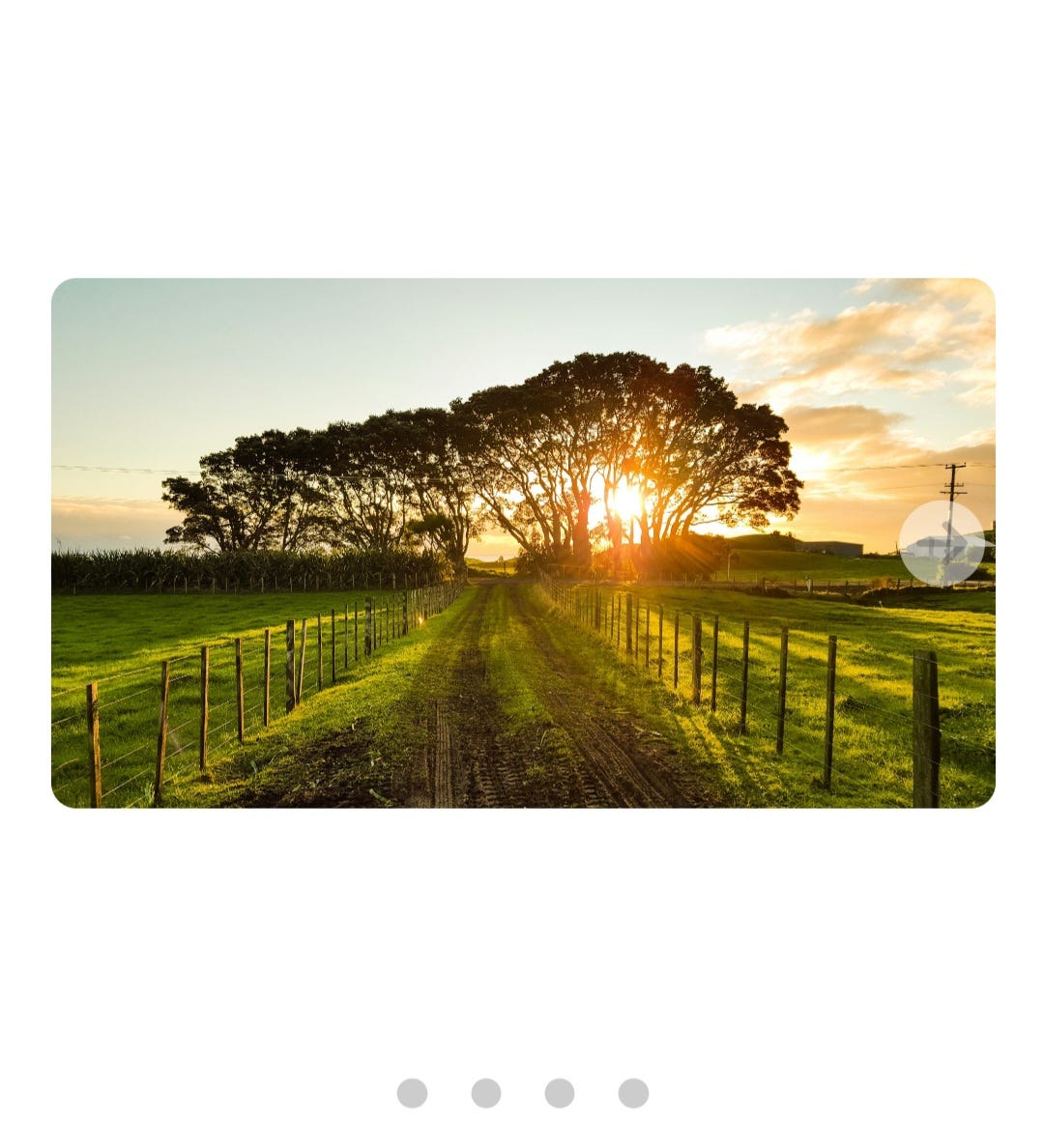 Image slider using vanilla HTML, CSS and Javascript | CodeX