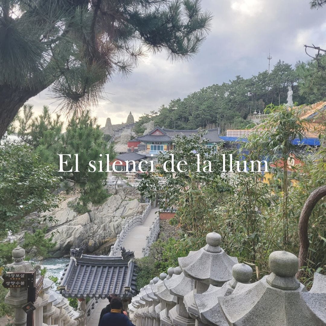 El silenci de la llum