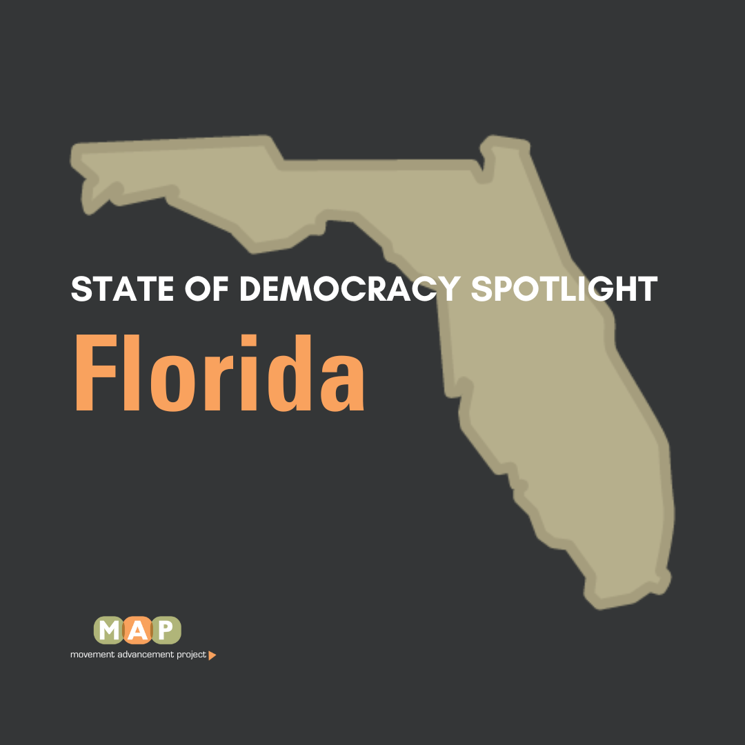 State of Democracy Spotlight Series Florida by Democracy Maps Medium