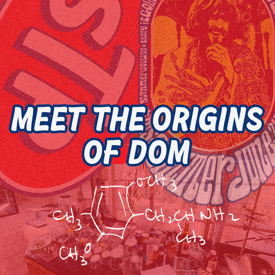 Meet the origins of DOM (STP)