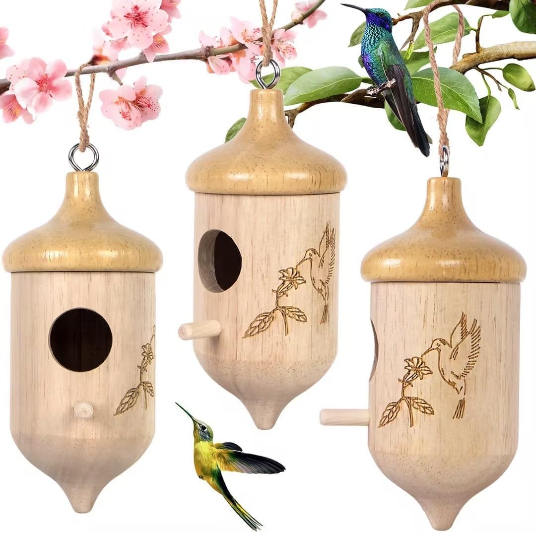 The Enchanting Haven Exploring the Wonders of Hummingbird Houses | by ...