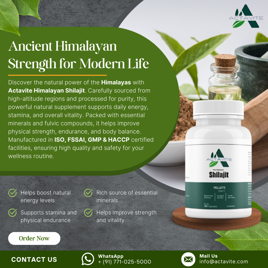 Actavite Himalayan Shilajit Best Immunity Booster Supplement for Strength Energy and Vitality