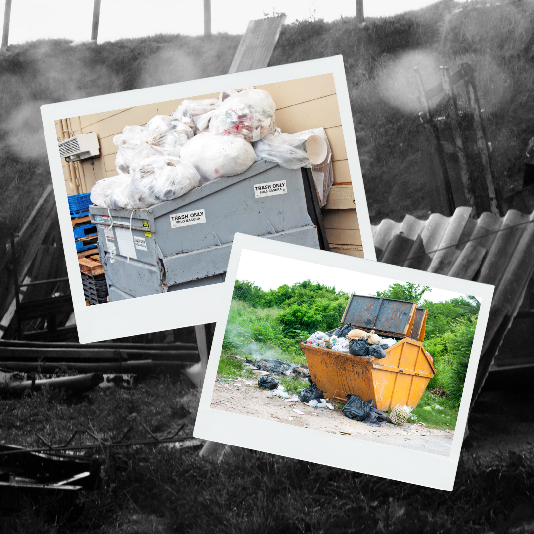 Dumpster Rental Fort Myers FL. Nestled alongside the tranquil banks of… by Big Dawg Dumpsters