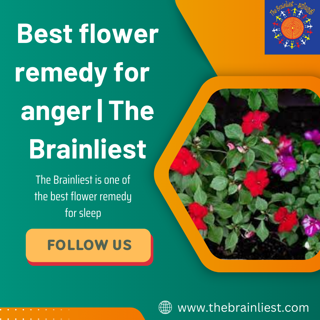 Best flower remedy for anger The Brainliest Thebrainliestarivunathi