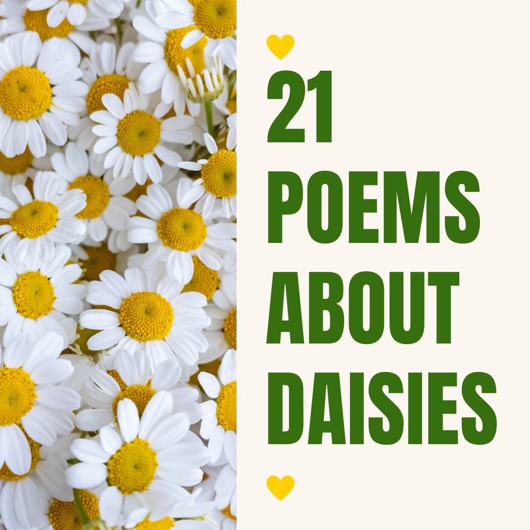 21 Poems About Daisies. Daisy Chain Gathering: | by Erik Daniel Fjelde ...