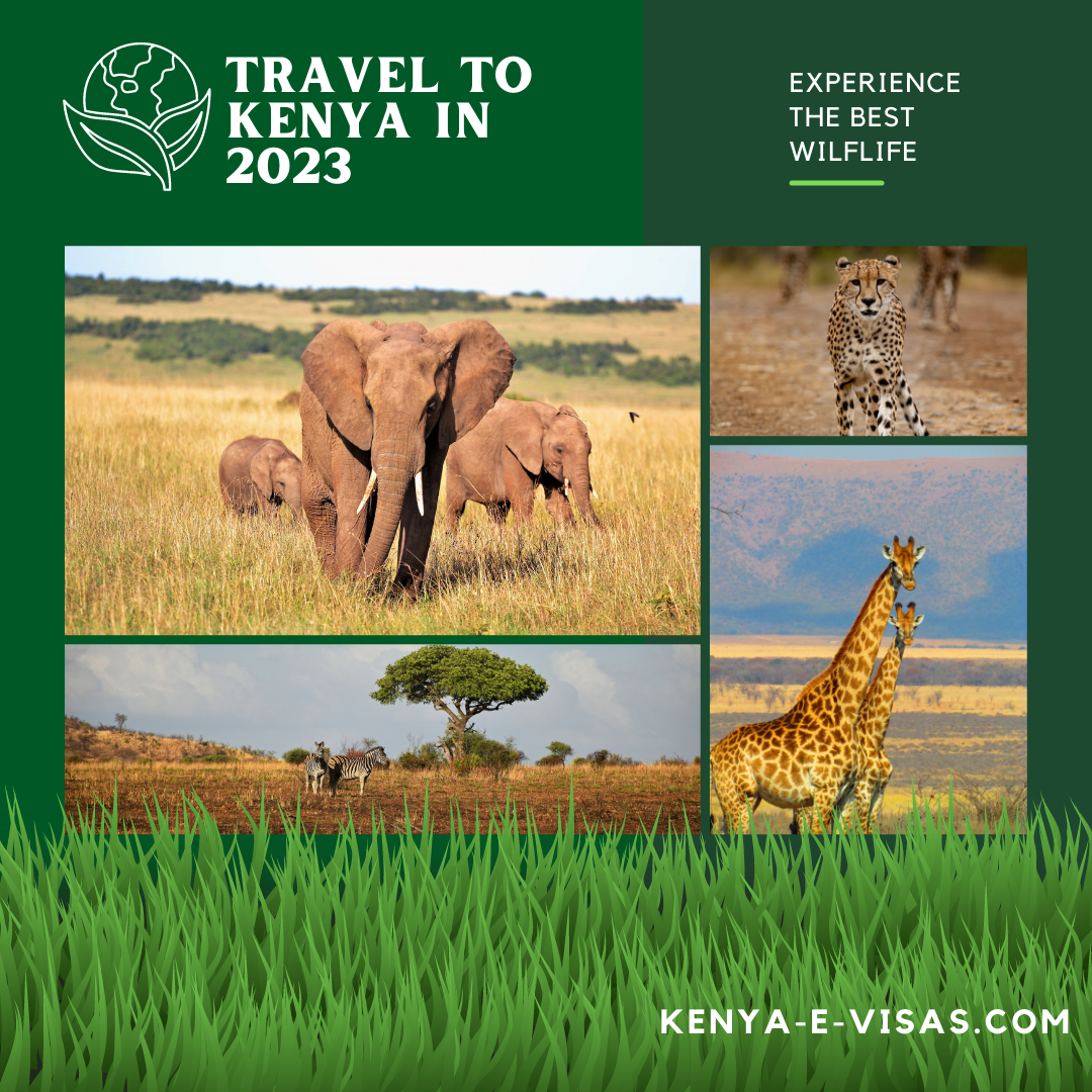 travel to kenya requirements 2023