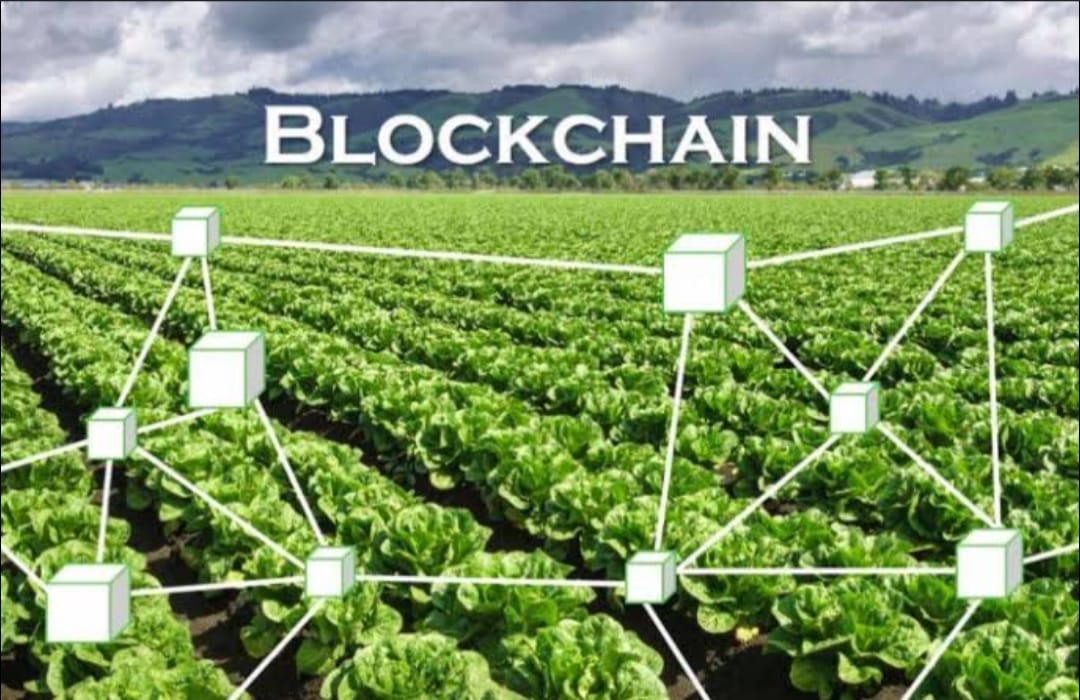 Profitable Farming Made Simple with Blockchain Technology