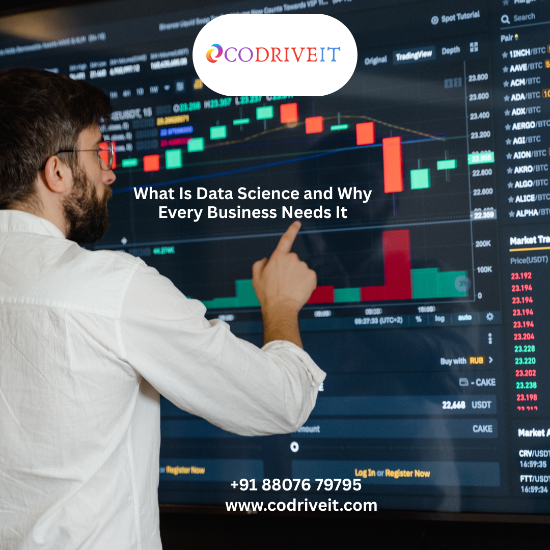 What Is Data Science and Why Every Business Needs It