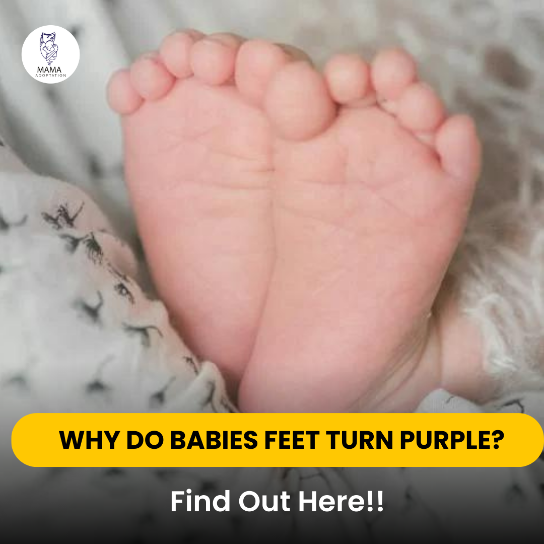 Why Do Babies Feet Turn Purple? Find Out Here 🤔💜 by Mama Adoptation