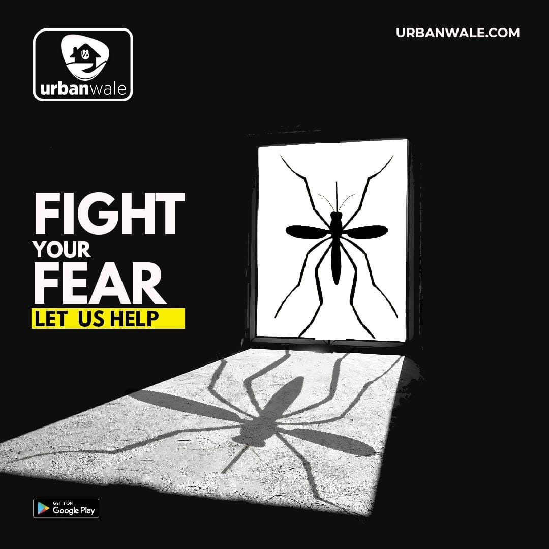 Book Online Affordable Pest Control in Jamshedpur at by