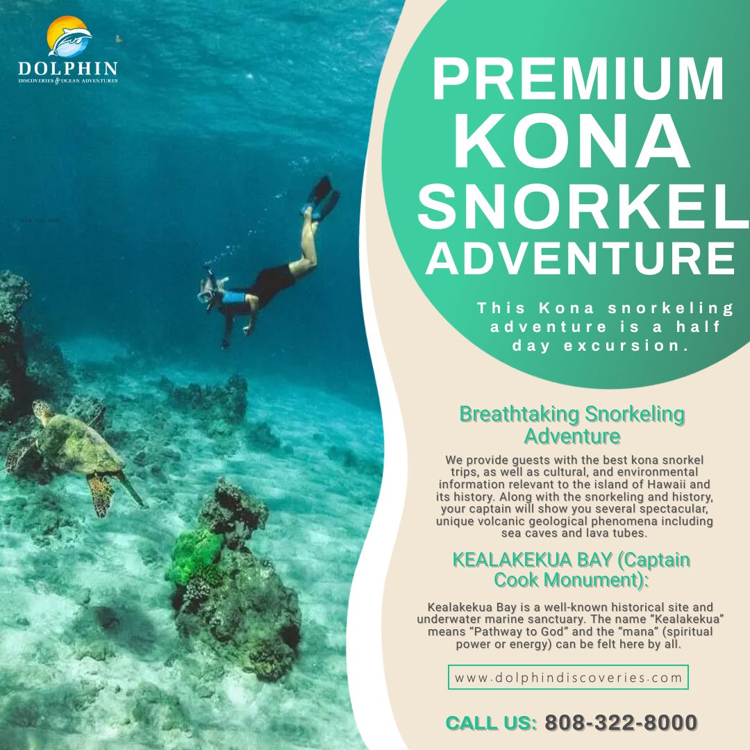 Kona snorkel tours Dolphin Discoveries & Ocean Adventures Medium