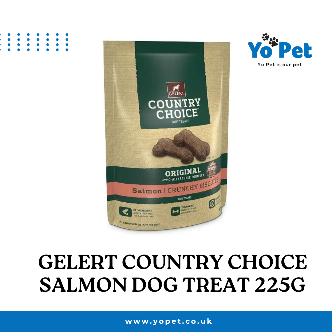 Metal Squrrel Feeder - Etsy UK