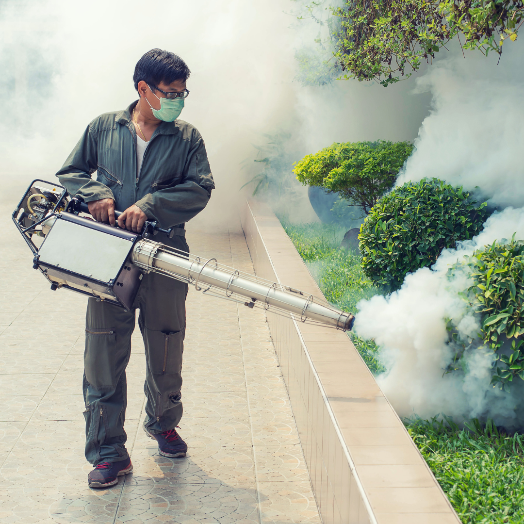 What You Need to Know About Mosquito Fogging in Singapore | by Vin Patrick  Lim | Medium