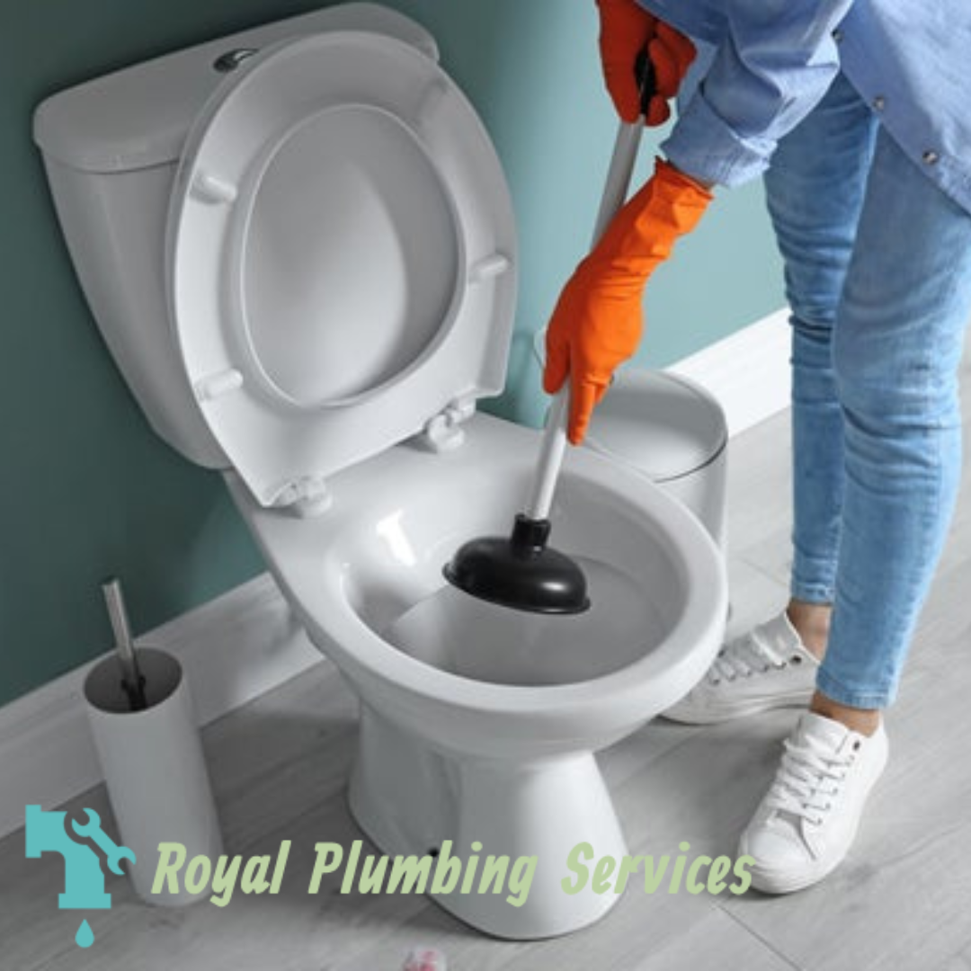 What Not To Do When Your Toilet Is Clogged by Royal Plumbing Services