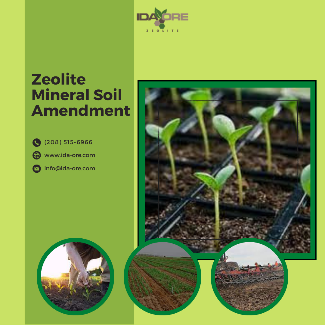 Zeolite Mineral Soil Amendment Organic Soil Amendment IdaOre Medium