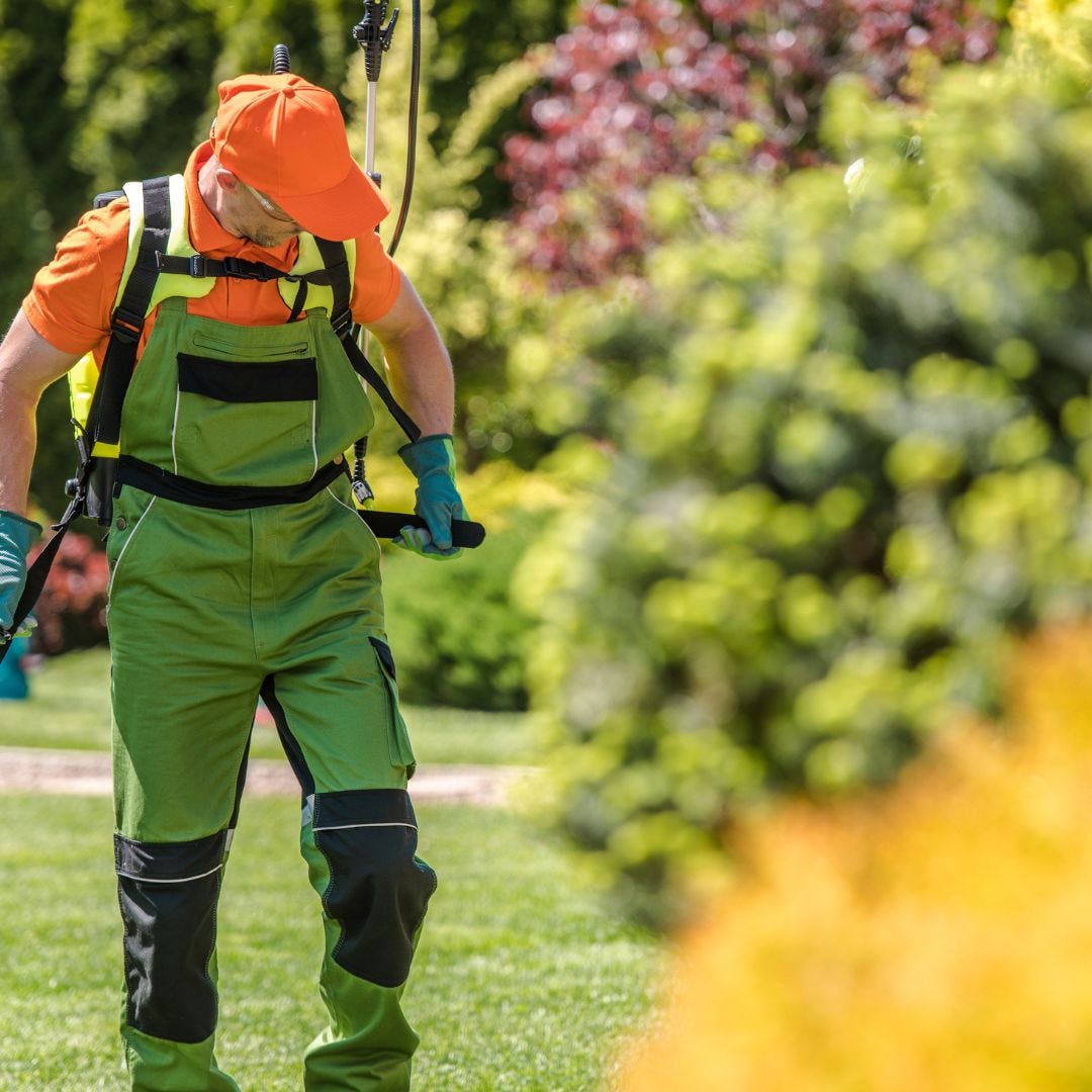 7-strategies-to-ensure-growth-for-your-local-landscape-business-by