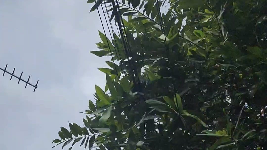Keinget masa lalu? Terima aja dulu.