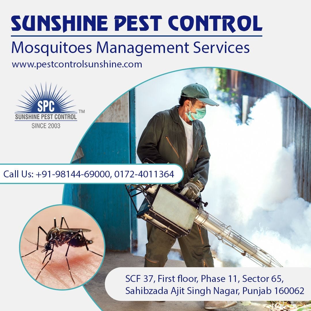 Mosquito Management Services Sunshine Pest Control(Mr. Arshi Singh
