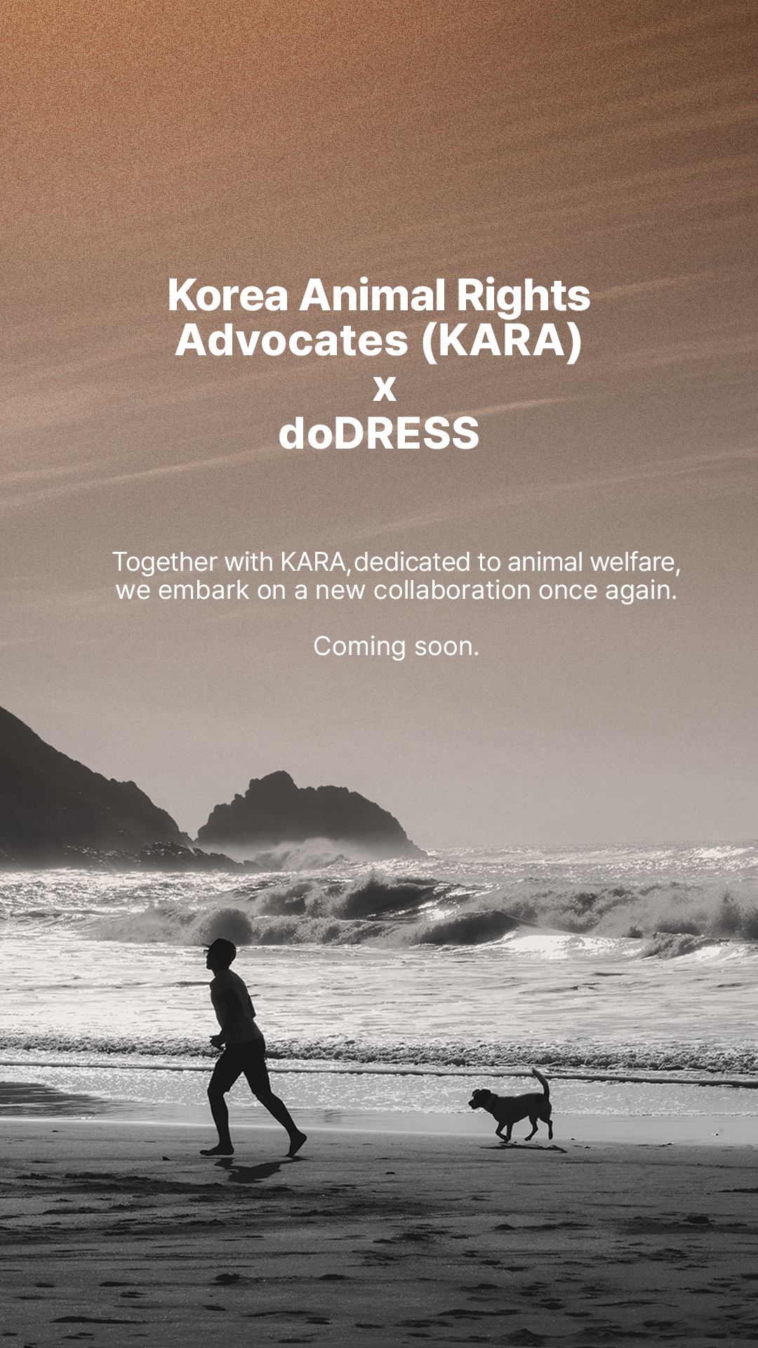 KARA x doDRESS: Expanding Collaboration for Animal Welfare