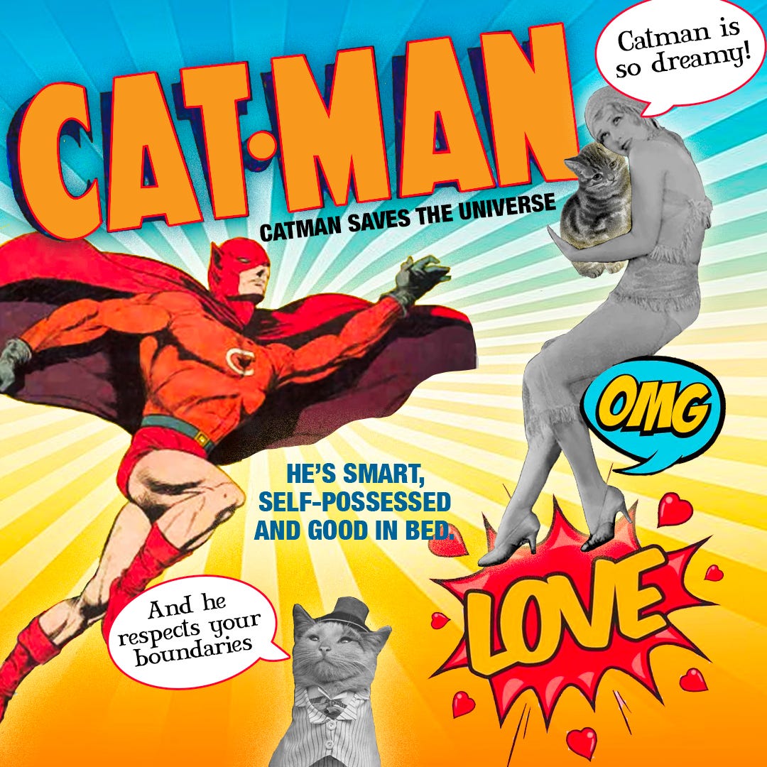 superhero cat man
