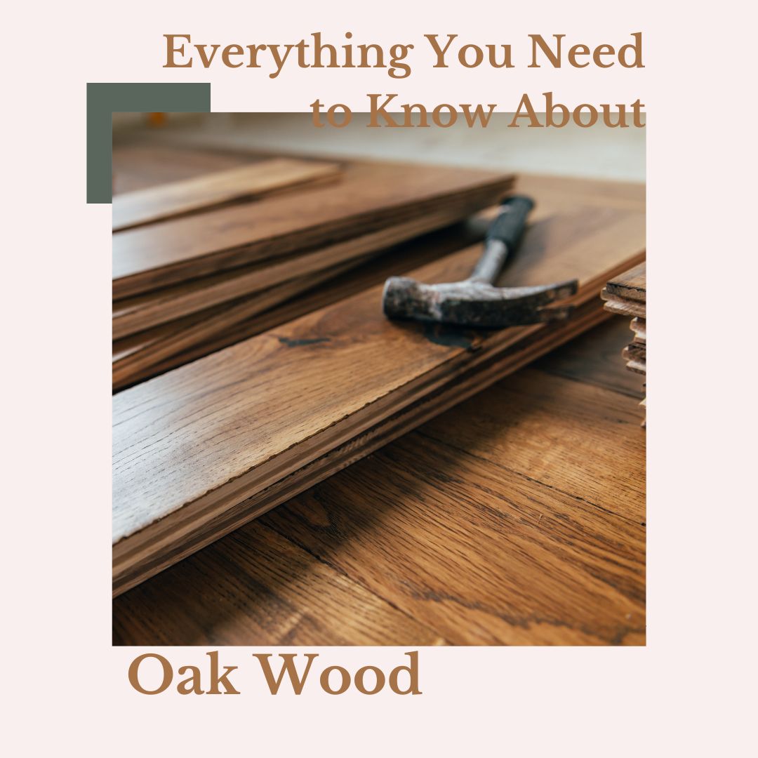 Everything You Need to Know About Oak Wood Medium