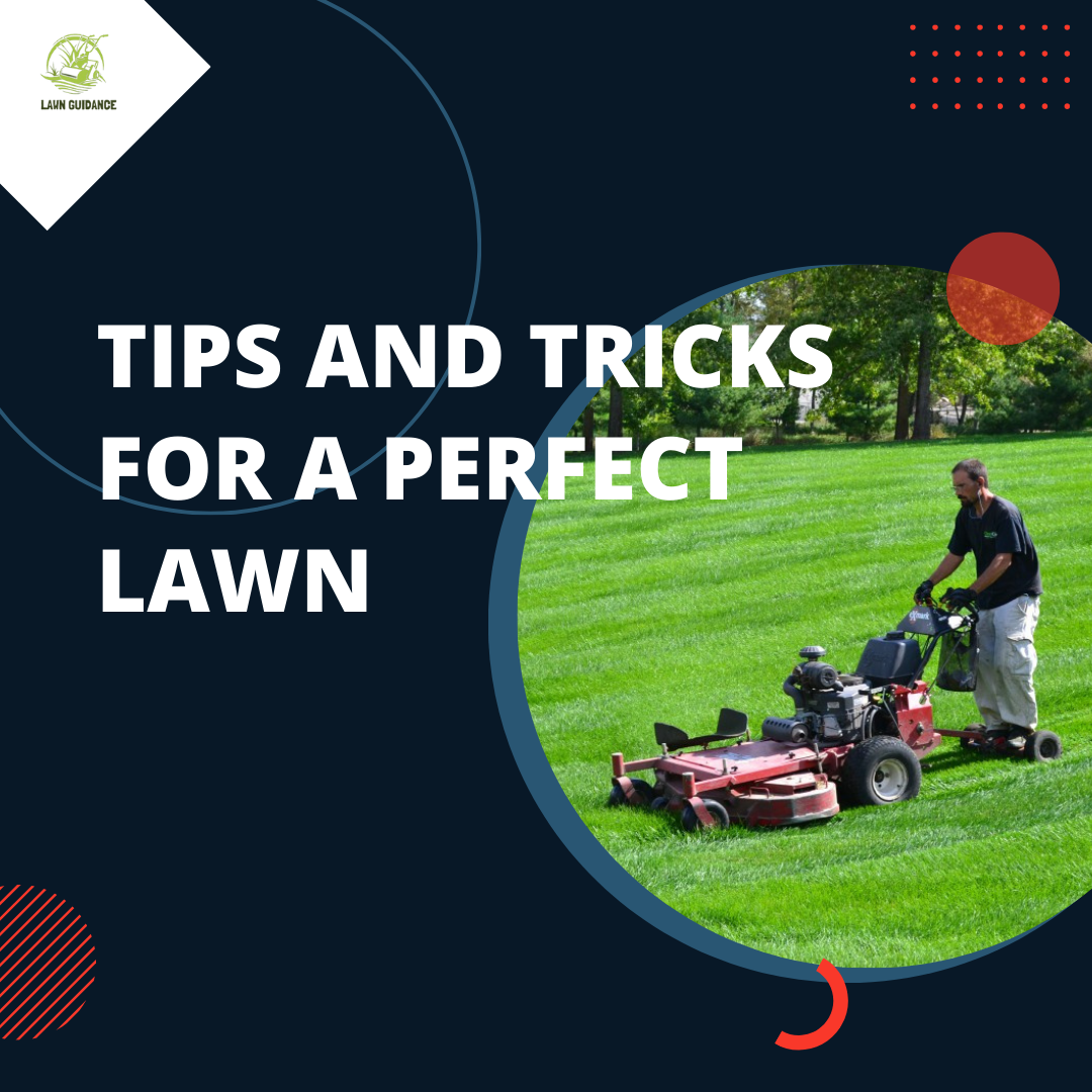 Lawn 2024 mowing tricks