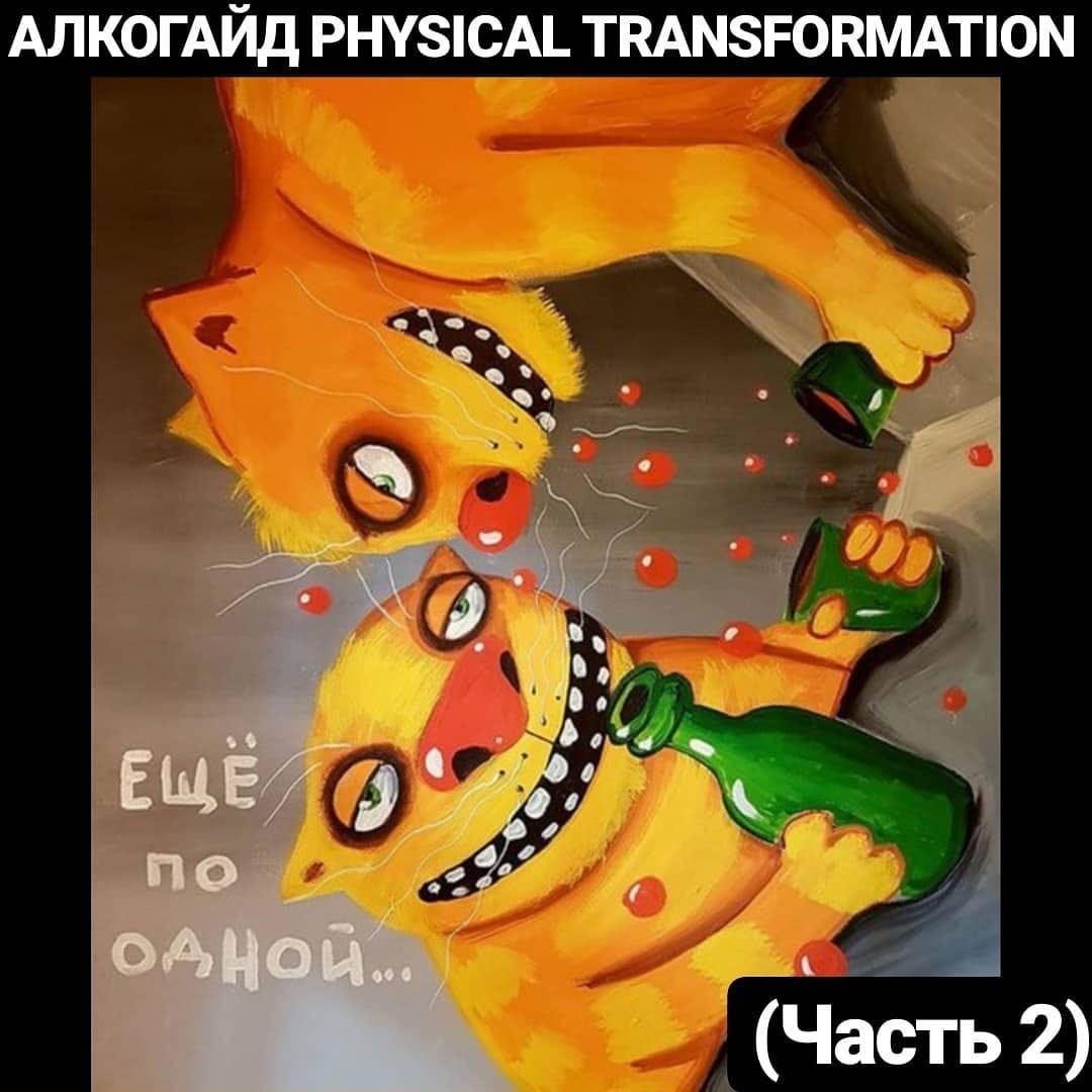 АЛКОГАЙД PHYSICAL TRANSFORMATION 2.0 (Часть 2) | by Физическая  Трансформация | Medium